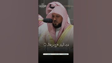 مقتطف من تلاوة فضيلة الشيخ د. #ماهر_المعيقلي من صلاة العشاء 18 صفر 1446هـ.