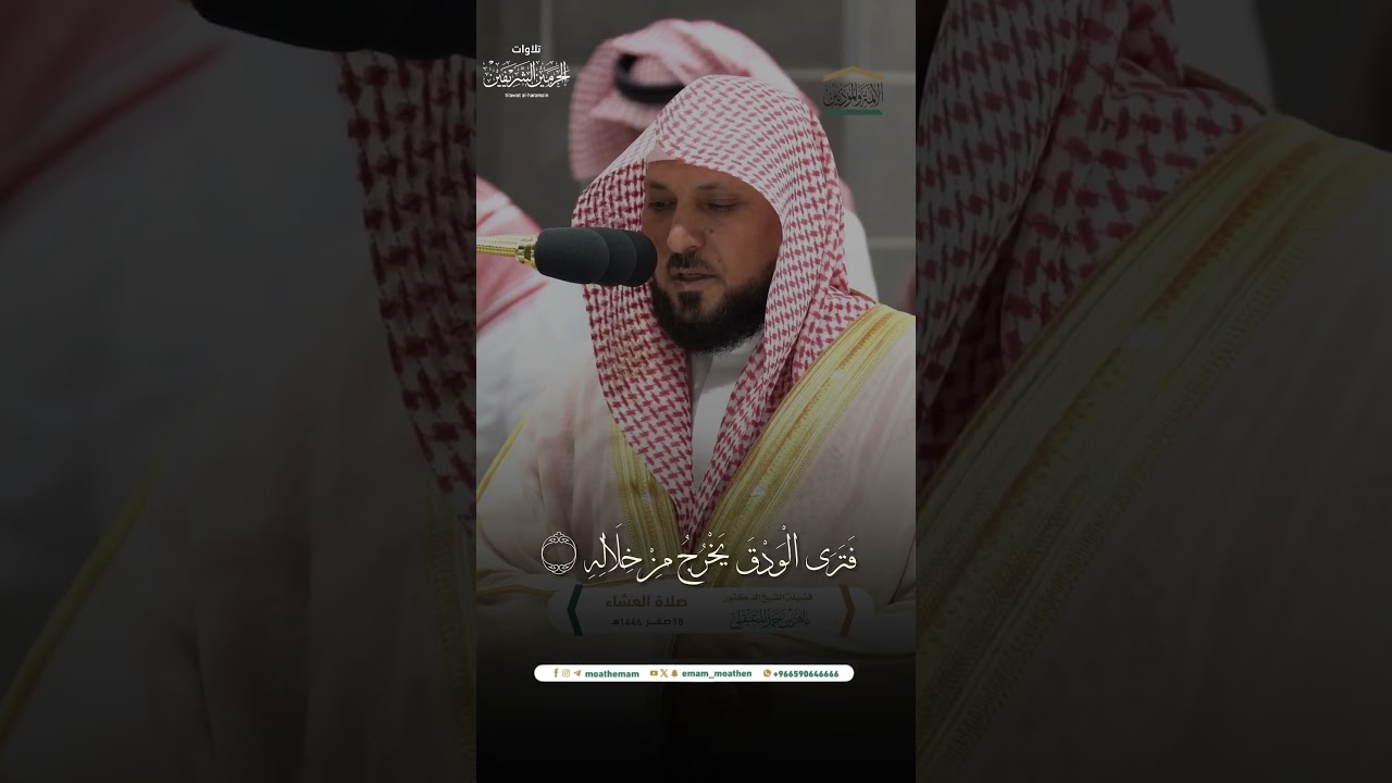 مقتطف من تلاوة فضيلة الشيخ د. #ماهر_المعيقلي من صلاة العشاء 18 صفر 1446هـ.