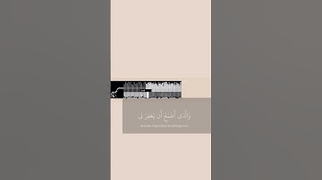 سورة الشعراء | للقارئ شريف مصطفى دعوة ابراهيم عليه السلام 🕊️ #راحة_نفسية #الباقيات_الصالحات #quran