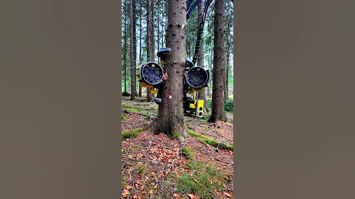 Tree Hugger Harvester: Precision Tree Felling in Action 🌲🚜
