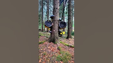 Tree Hugger Harvester: Precision Tree Felling in Action 🌲🚜