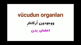 آموزش مکالمه ترکی مهران درس ۲۸