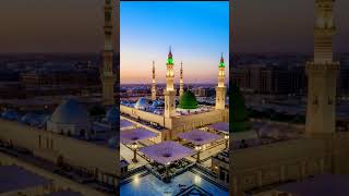 Hara Ghumbad Jo Dekho gy 💚 #allah #muhammadﷺ #islam #short