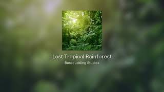 Lost Tropical Rainforest