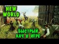 Быстрый кач - New World