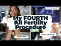 IUI Gone Wrong?! Is IVF the ONLY option? + Dossier Gucci Guilty