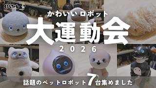 Ultimate Comparison] A Big Sports Day for 7 Cute Robots! Which One