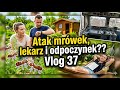 Atak Mrówek, lekarz i odpoczynek?? Vlog 37