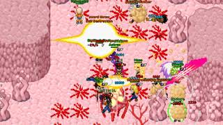 PolishMonkeys WAR2, DBKO