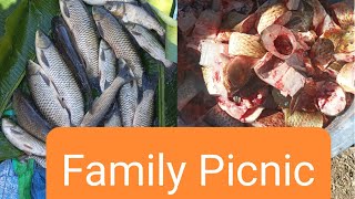 Family Picnic Vlog