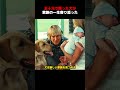 家族に一番煙たがられたやんちゃな子犬、やがて忘れられない存在となる!