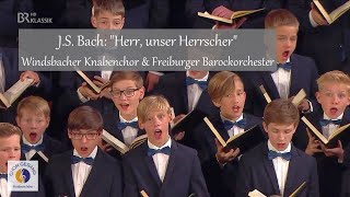 J.S. Bach: "Herr, unser Herrscher" | Windsbacher Knabenchor & Freiburger Barockorchester (L. Böhme)