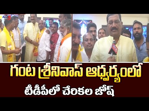 Youth Huge Joining In TDP Party In The Presence Of Ganta Srinivas Rao | Chandrababu | TV5 NEWS - TV5NEWS