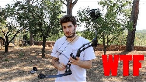 How to recover your drone stuck in a really high tree [STONE AGE EDITION]