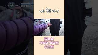 [나는농부다 294회] 꽃농장 기억력 부족견 이호림