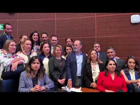 Fraude en la elección del titular de la CNDH