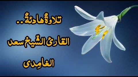 سورة التغابن | تلاوة هادئة خاشعة للقارئ الشيخ سعد الغامدي |