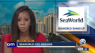 SeaWorld CEO resigns after less than a year on the job