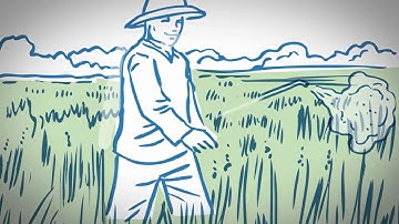 Intel - STEM Video Contest