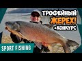 ЖЕРЕХИ ПО 5 КГ РВУТ СНАСТЬ! Ловля крупного ЖЕРЕХА на спиннинг весной! Приманка УБИЙЦА ЖЕРЕХА!