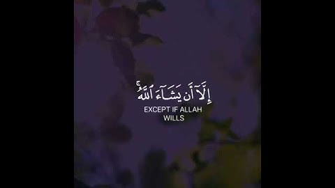 وَلَا تَقُولَنَّ لِشَيْءٍ إِنِّي فَاعِلٌ ذَلِكَ غَدًا ) #سورة_الكهف