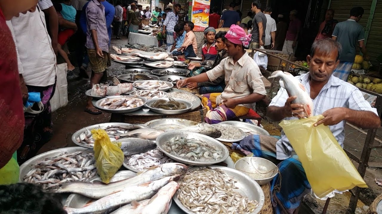 Very Fresh Lots Of Fish Available Big Fish Market Dhaka Bangladesh fish Very Fresh Lots Of Fish Available Big Fish Market Dhaka Bangladesh fish