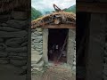 500-Year-Old Himalayan Water Mill Still Running | Traditional Village Life in Nepal#explore #nature