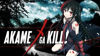Akame ga Kill Ending 2 ( sub en ESPAÑOL )