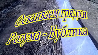 Осваиваем грядки Розума - Бублика