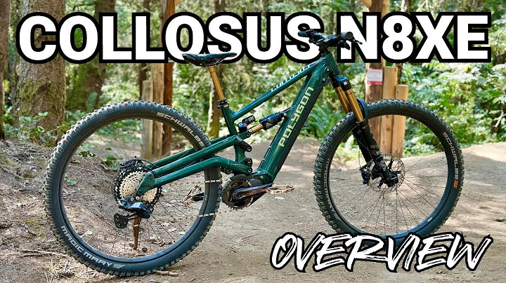 Polygon Collosus N8XE | An Affordable Top Tier Enduro Ebike!