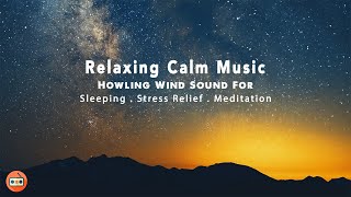 Howling Wind Sound For Sleeping, Meditation, Stress Relief, work, ASMR | 呼嘯風聲適合睡眠與放鬆 冥想 療癒睡眠音樂