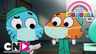 Gumball | Fotografia lui Alan | Cartoon Network