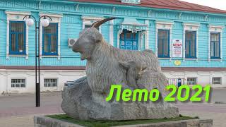 Урюпинск Лето 2021-5 Аисты