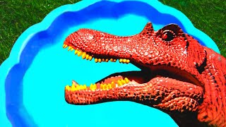 Learn Wild Animal Names and Dinosaur Names For Kids in a Blue Pool!