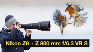 Nikon Z8 + Z 800 mm f/6.3 VR S - Meine Eindrücke als Naturfotograf