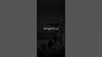 اكتب شيء تؤجر عليه 😴🩶 | قران كريم | فارس عباد