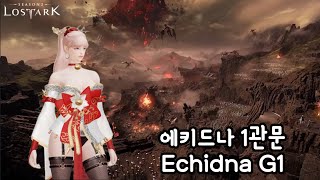 1620 만월 소울이터 에키드나 노말 1관문 밑잔혈😚 FM SOULEATER Echidna nm gate1 DPS TOP