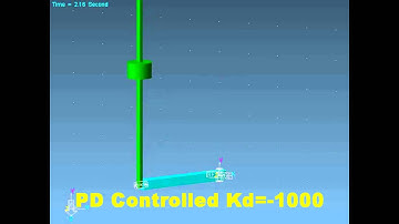 Simulation of a rotary inverted pendulum
