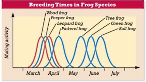 Speciation Lecture Video