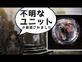 【エルデンリング　侵入】エルデンキャノンと化したくまさん聖女