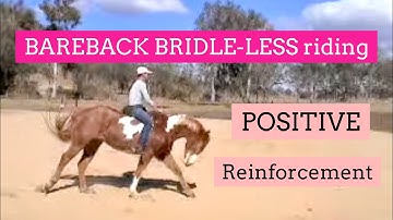 Experience True Freedom: Bareback Bridle-Less Paint Horse Performance | LaraCoventryCox.com