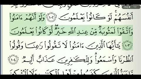 صفحة رقم 16 الشيخ وديع اليمني القرآن الكريم