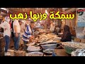 سر سمكة إكسير الشباب 🐟 تعشقها جميع نساء العالم مع #ملكة_البحريات