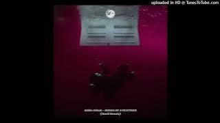 Billie Eilish - Birds Of A Feather (Amél Remix) Extended Mix Edit DragonMusix