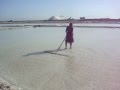 Salt Farm