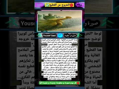 عند الخروج عن القطيع ماذا يحصل