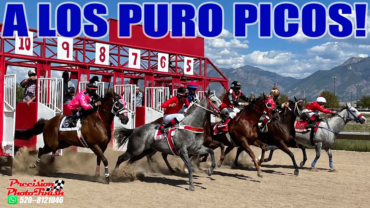 ABIERTA 275YDS EN SALT LAKE COUNTY EQUESTRIAN PARK YouTube