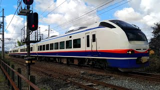【2021/09/10 E653系1100番台・ジョイント音あり】信越線 特急しらゆき1号(51M・新井→新潟) 羽生田駅付近にて