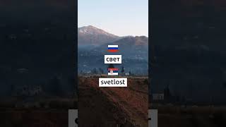 Учим сербский каждый день. Упражнения и викторины на сербском языке