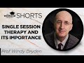 The importance of single session therapy  professor windy dryden